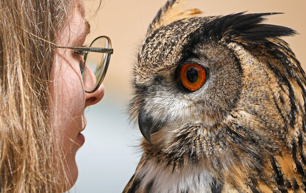 APTOPIX Germany Hunting Fair
